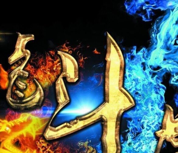 Dragon Tiger Betting Strategy: A Rational Approach to Steady Profits