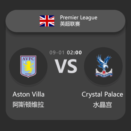 Premier League Match Analysis: Aston Villa vs Crystal Palace – Expert Betting Insights​